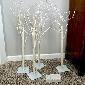 Battery powered lighted birch trees
